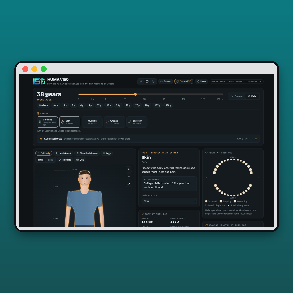 Human150 interactive human body atlas